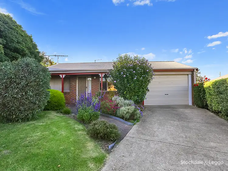 Main view of Homely house listing, 10 Patricia Court, Drysdale VIC 3222