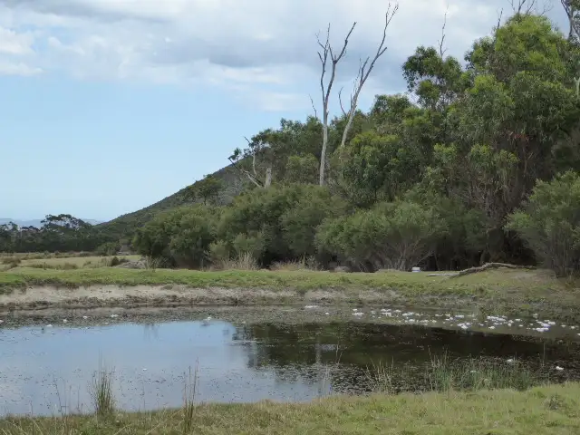 Sixth view of Homely rural property listing, PID 6428622 Palana Road, Whitemark TAS 7255
