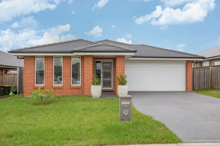 Main view of Homely house listing, 19 Threadtail Street, Chisholm NSW 2322