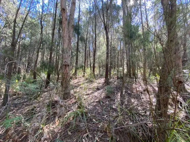 Sixth view of Homely land listing, - Moriarty Road, Moriarty TAS 7307