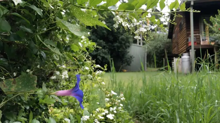 Sixth view of Homely house listing, 138 Gungas Road, Nimbin NSW 2480