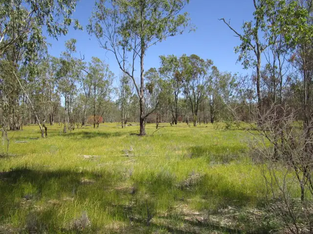 LOT 42 O''HALLORANS ROAD, Tara QLD 4421