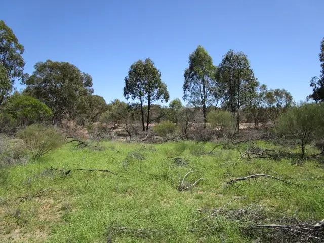 Second view of Homely rural property listing, LOT 183 TREGATHLYN ROAD, Tara QLD 4421