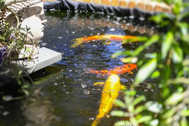 Fourth view of Homely rural property listing, 79 Damien Drive, Macmasters Beach NSW 2251