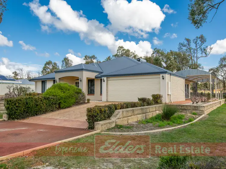 Main view of Homely house listing, 79 Leschenaultia Circle, Donnybrook WA 6239