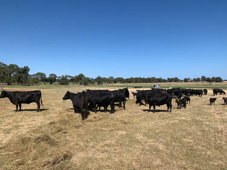 Fourth view of Homely rural property listing, 11571 SOUTH WESTERN HIGHWAY, Wokalup WA 6221