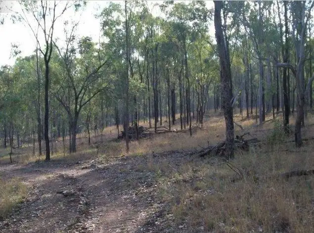 Third view of Homely land listing, Lot 60 Chavasse Drive, Wonbah QLD 4671