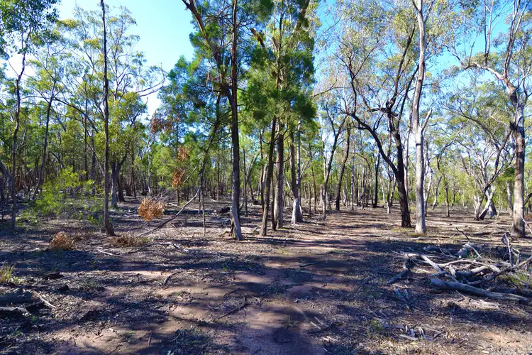 Main view of Homely rural property listing, 12 Pine Close, Mudgee NSW 2850