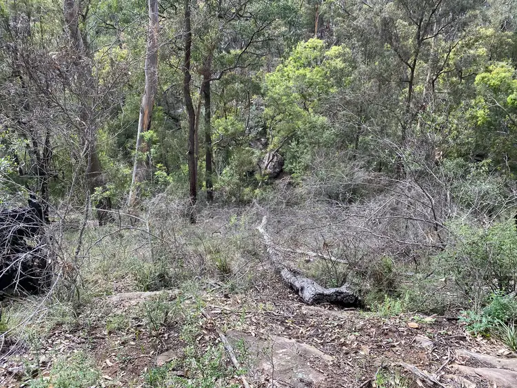 Fifth view of Homely house listing, 115 ARINA ROAD, Bargo NSW 2574