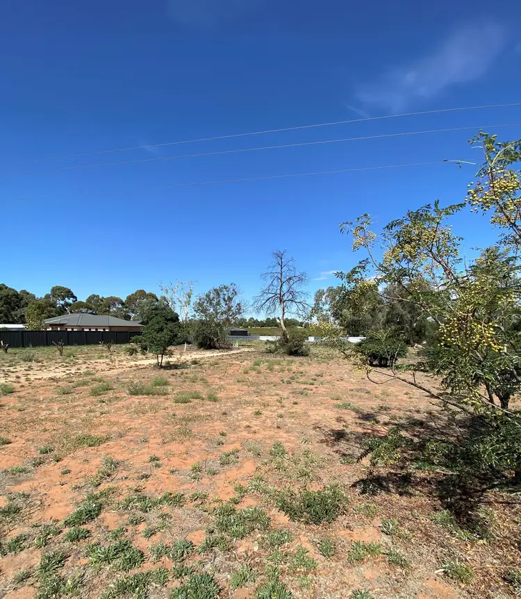 Third view of Homely rural property listing, Lot 100, 381 Bookmark Avenue, Renmark SA 5341