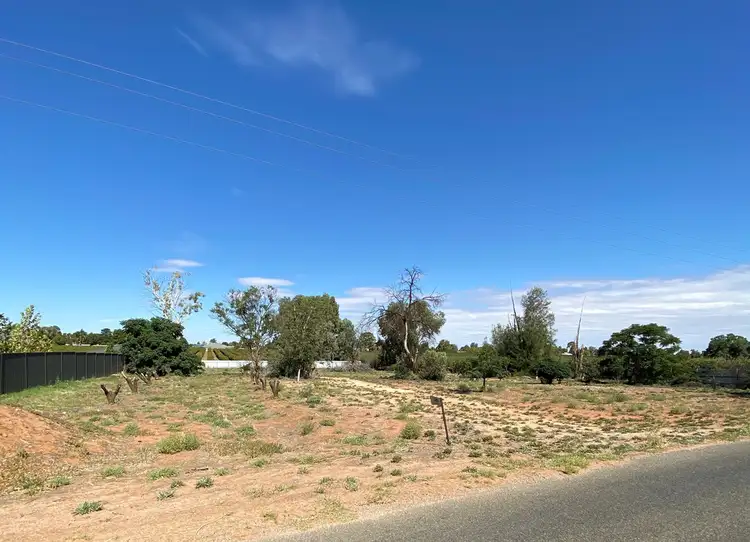 Fourth view of Homely rural property listing, Lot 100, 381 Bookmark Avenue, Renmark SA 5341