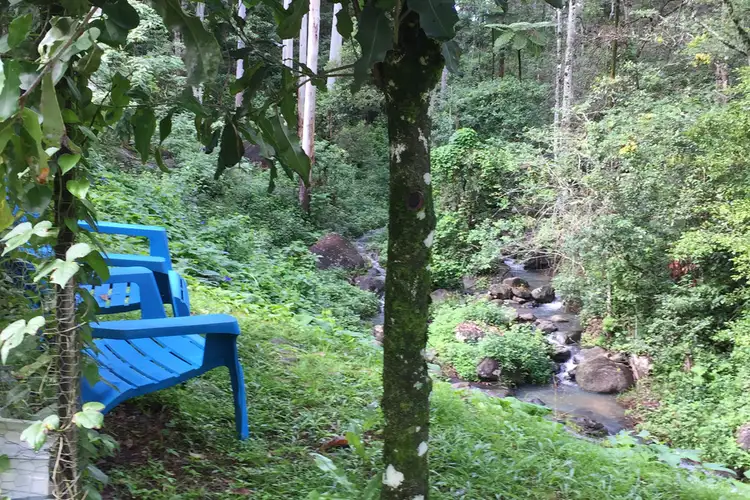 Seventh view of Homely house listing, 9/924 Blue Knob Rd, Nimbin NSW 2480