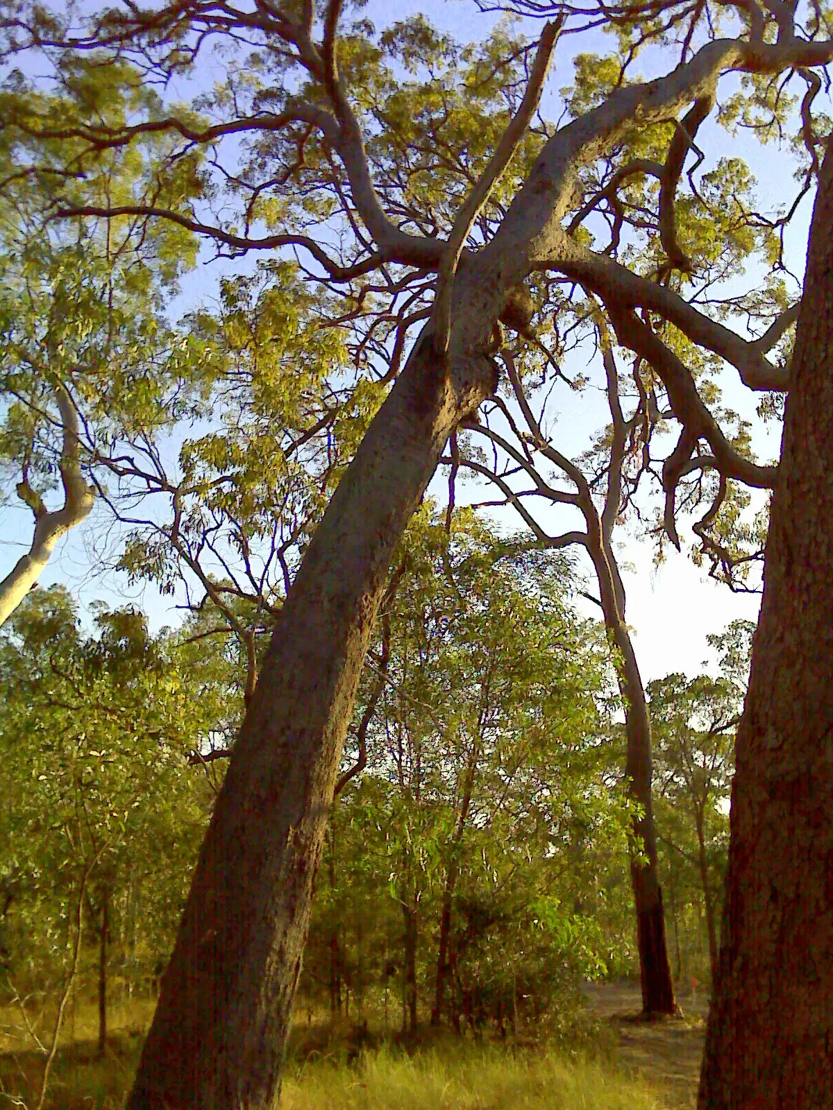 Main view of Homely land listing, Address available on request