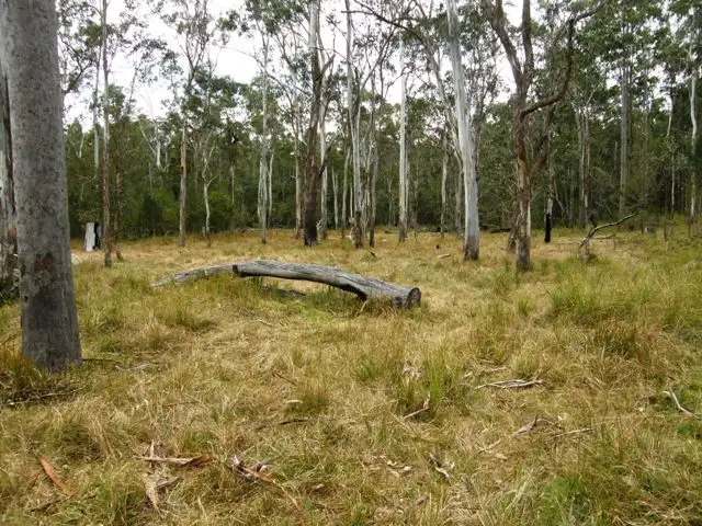 Fourth view of Homely rural property listing, Lot 8 Blacksmith Shop Road, Newton Boyd NSW 2370