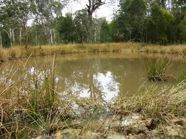 Fifth view of Homely rural property listing, Lot 8 Blacksmith Shop Road, Newton Boyd NSW 2370