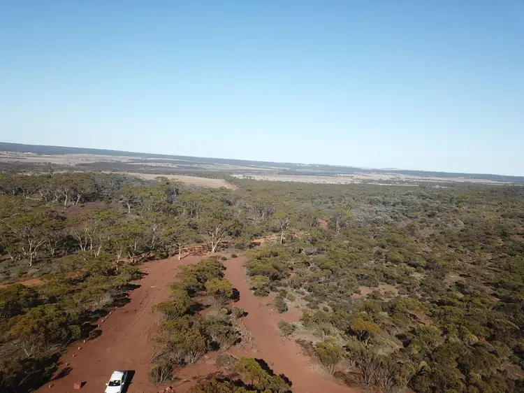 Main view of Homely rural property listing, Lot 8 Carlingup Road, Ravensthorpe WA 6346