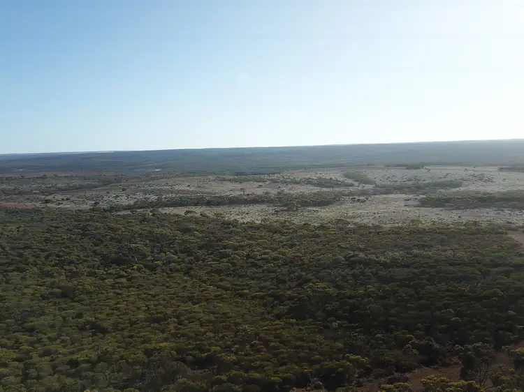 Third view of Homely rural property listing, Lot 8 Carlingup Road, Ravensthorpe WA 6346