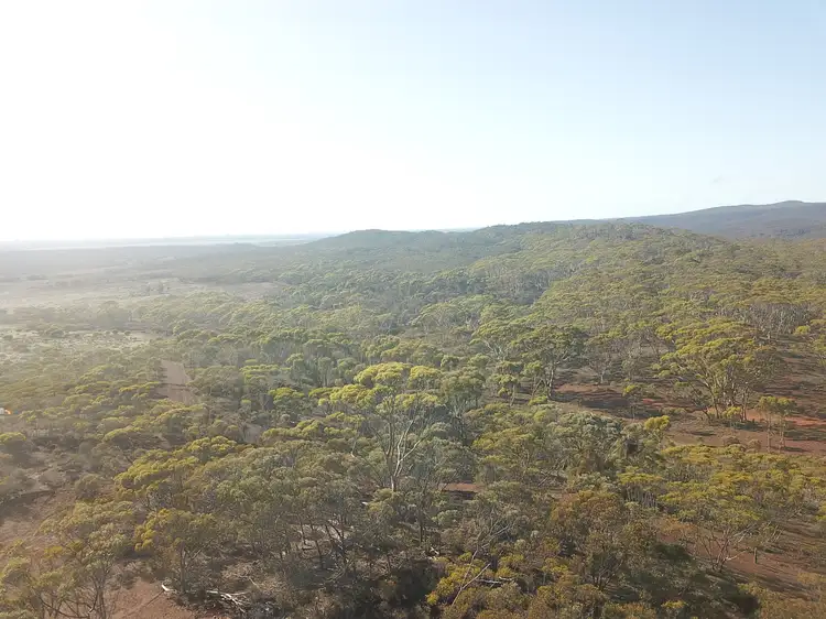 Fifth view of Homely rural property listing, Lot 8 Carlingup Road, Ravensthorpe WA 6346