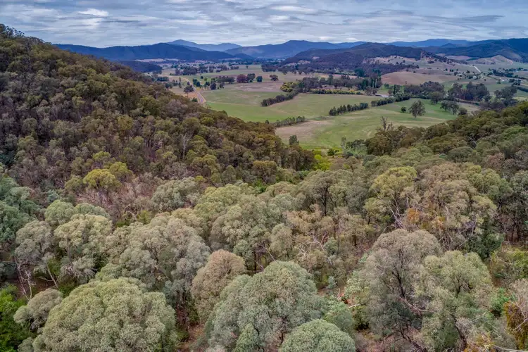 Third view of Homely rural property listing, 821 Mitta North Road, Eskdale VIC 3701