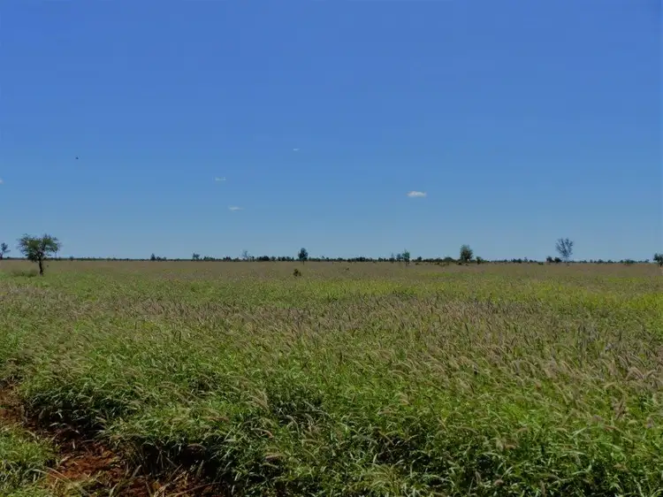 Fifth view of Homely rural property listing, "CASHMERE WEST STATION" via, St George QLD 4487