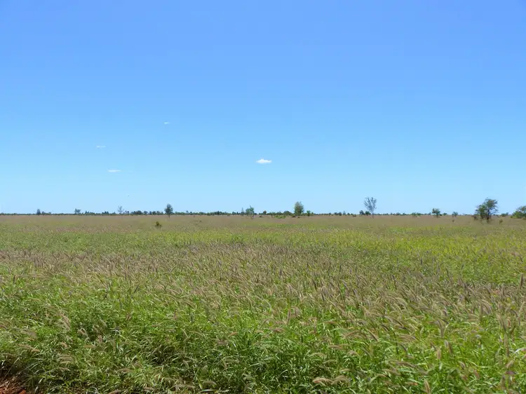Seventh view of Homely rural property listing, "CASHMERE WEST STATION" via, St George QLD 4487