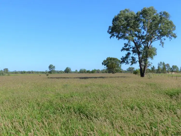 Second view of Homely rural property listing, "TARILLA STATION", St George QLD 4487
