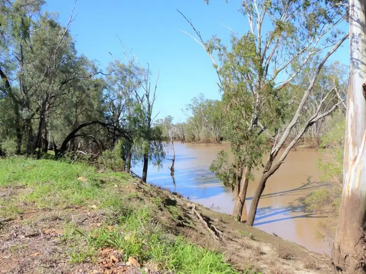 Sixth view of Homely rural property listing, "TARILLA STATION", St George QLD 4487