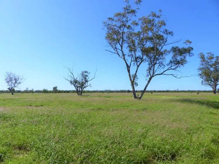 Seventh view of Homely rural property listing, "TARILLA STATION", St George QLD 4487