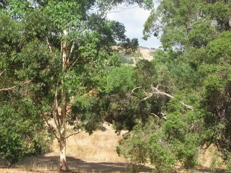 Lot 9 Bailey Heights, Balingup WA 6253