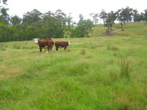 Fourth view of Homely rural property listing, 3855 Omeo Highway, Glen Valley VIC 3898