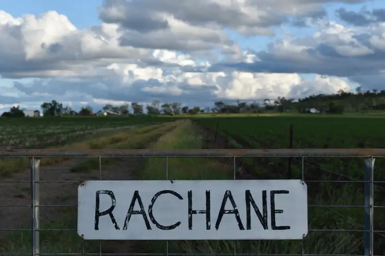 Seventh view of Homely rural property listing, 1734 Wolfang Access Road, Clermont QLD 4721