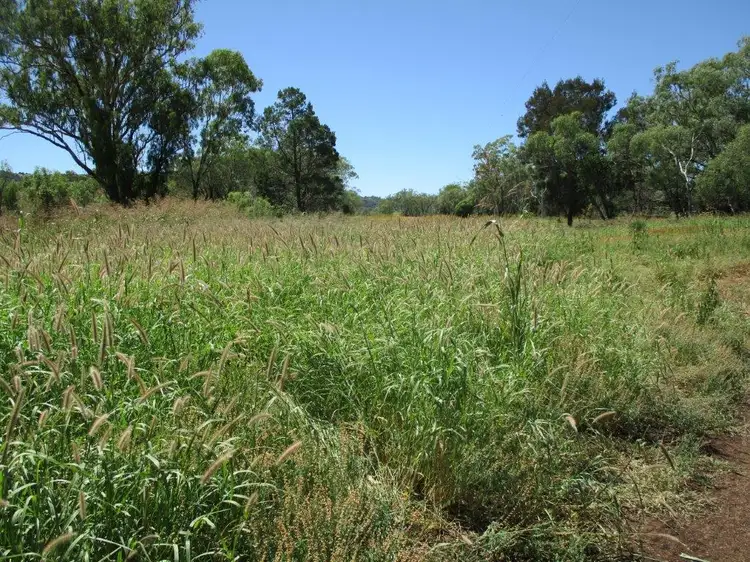 Second view of Homely rural property listing, 378 ACRES, Bell QLD 4408