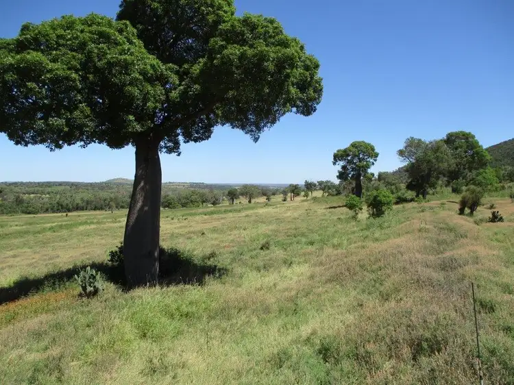 Fourth view of Homely rural property listing, 378 ACRES, Bell QLD 4408