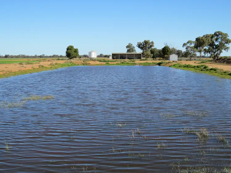 Main view of Homely rural property listing, 113 Tocumwal Road, Deniliquin NSW 2710
