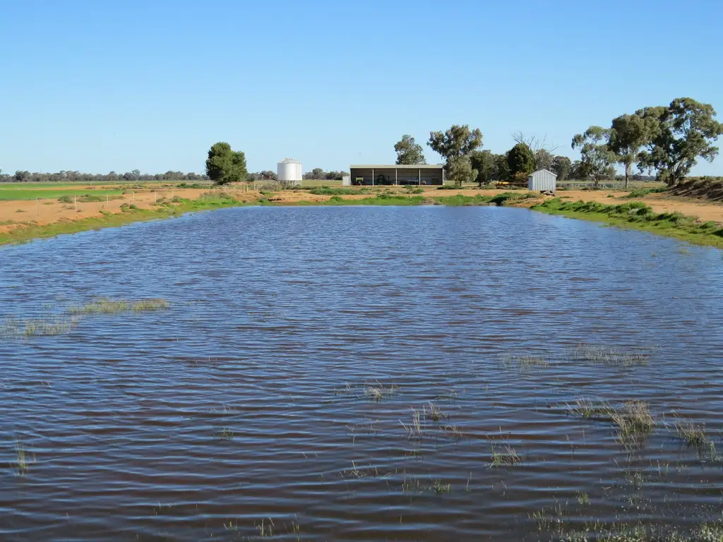 Main view of Homely rural property listing, 113 Tocumwal Road, Deniliquin NSW 2710