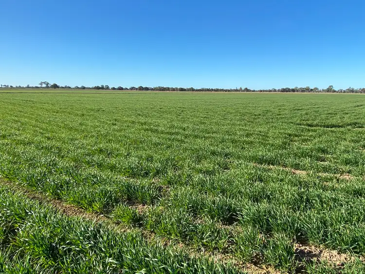 Second view of Homely rural property listing, 113 Tocumwal Road, Deniliquin NSW 2710