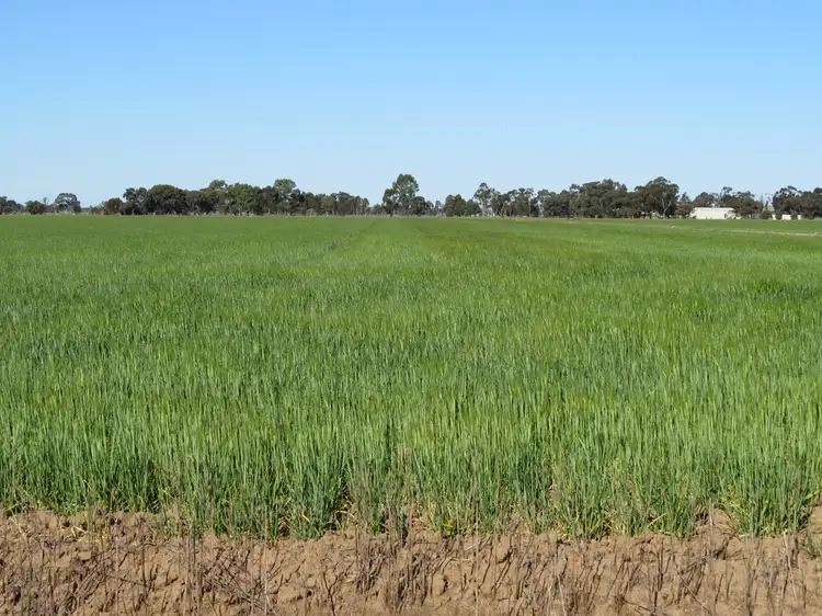 Third view of Homely rural property listing, 113 Tocumwal Road, Deniliquin NSW 2710