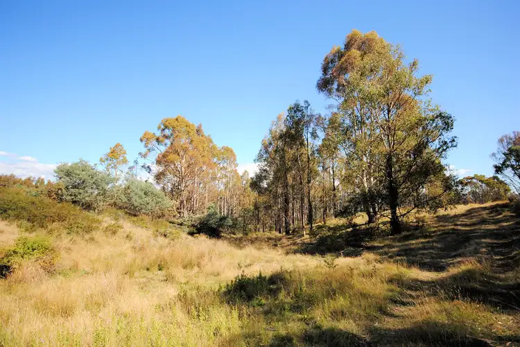 Fifth view of Homely land listing, PID 5818207 Braslins Road, Black Hills TAS 7140