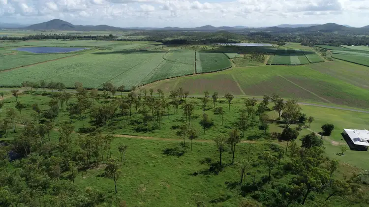 87 Jeppesens Road, Bloomsbury QLD 4799