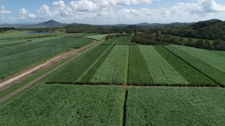 Sixth view of Homely rural property listing, 87 Jeppesens Road, Bloomsbury QLD 4799