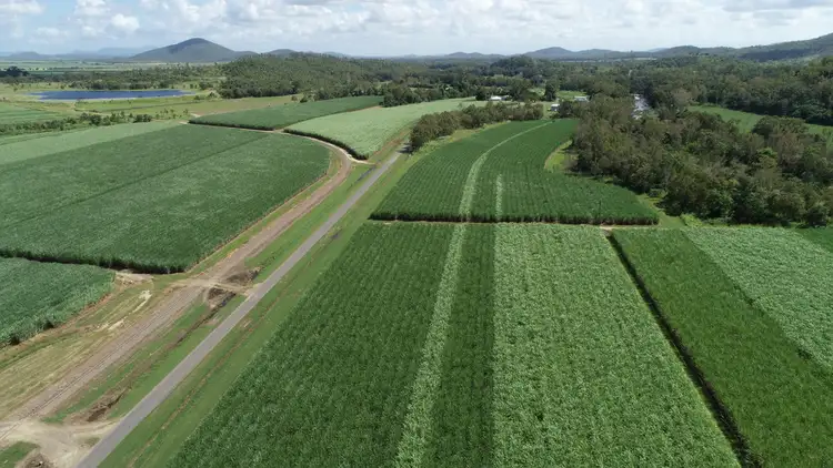 Seventh view of Homely rural property listing, 87 Jeppesens Road, Bloomsbury QLD 4799