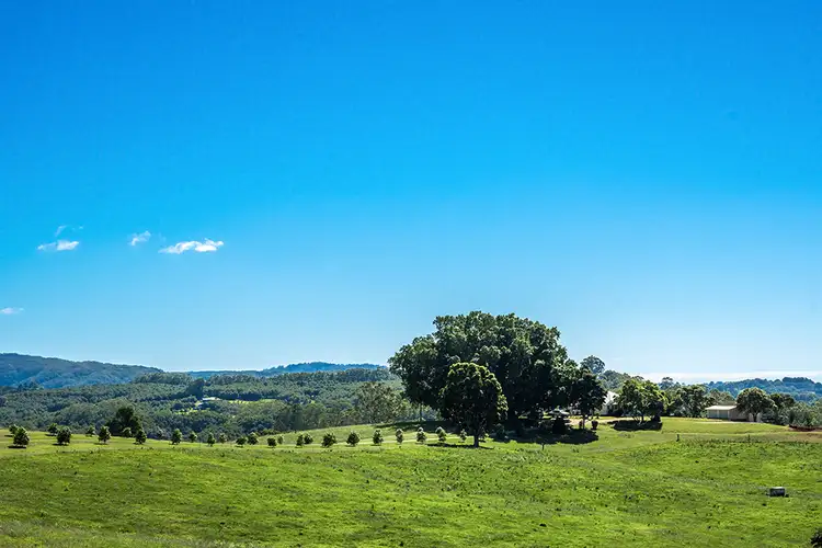 Third view of Homely rural property listing, HIAWATHA 200 DORROUGHBY ROAD, Corndale NSW 2480