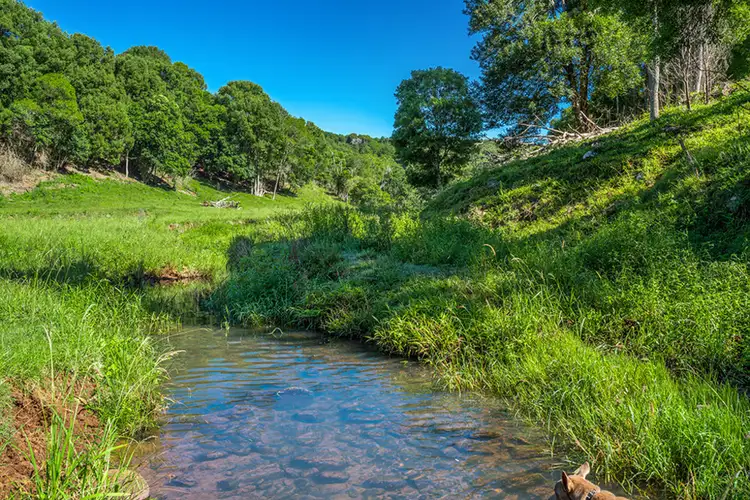 Sixth view of Homely rural property listing, HIAWATHA 200 DORROUGHBY ROAD, Corndale NSW 2480