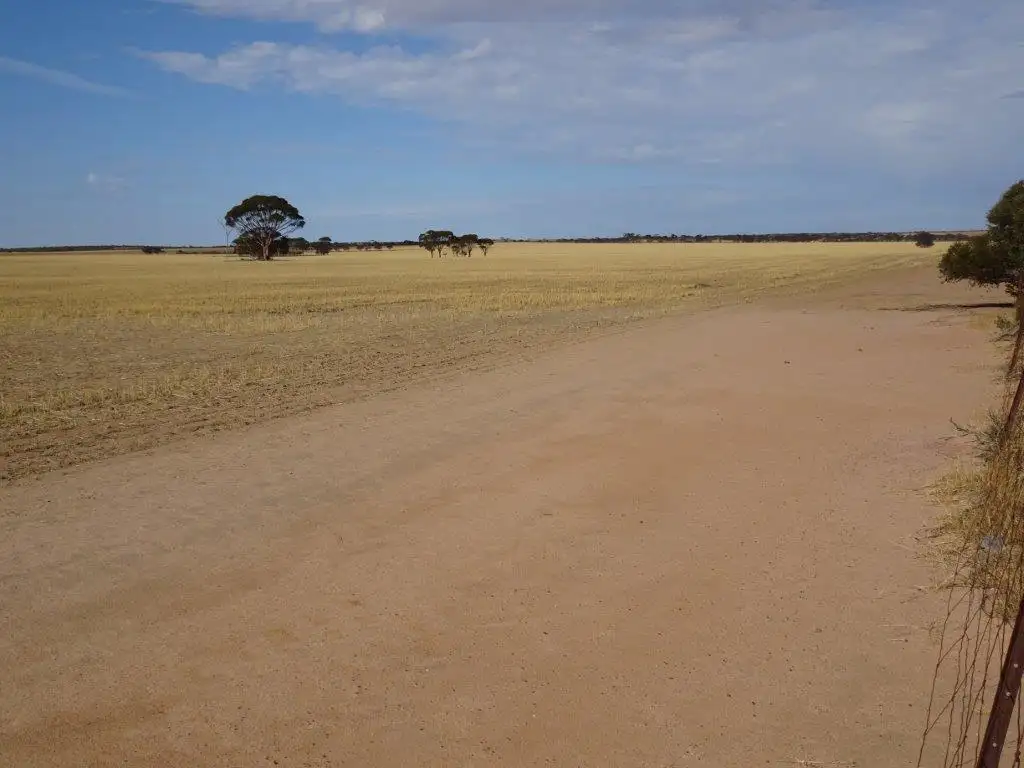 Main view of Homely rural property listing, 1704 Aylmore Road, Hyden WA 6359