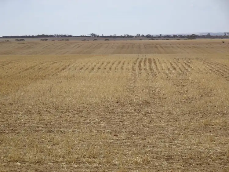 Second view of Homely rural property listing, 1704 Aylmore Road, Hyden WA 6359