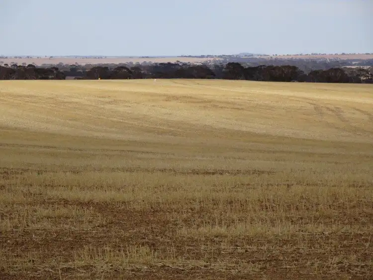 Fourth view of Homely rural property listing, 1704 Aylmore Road, Hyden WA 6359