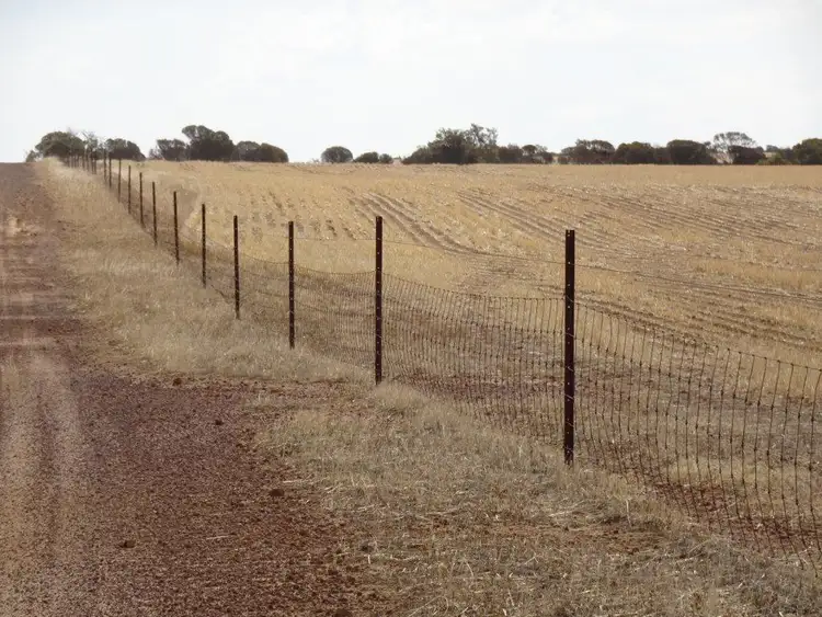 Fifth view of Homely rural property listing, 1704 Aylmore Road, Hyden WA 6359