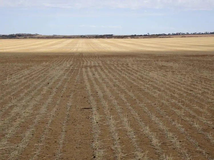 Sixth view of Homely rural property listing, 1704 Aylmore Road, Hyden WA 6359