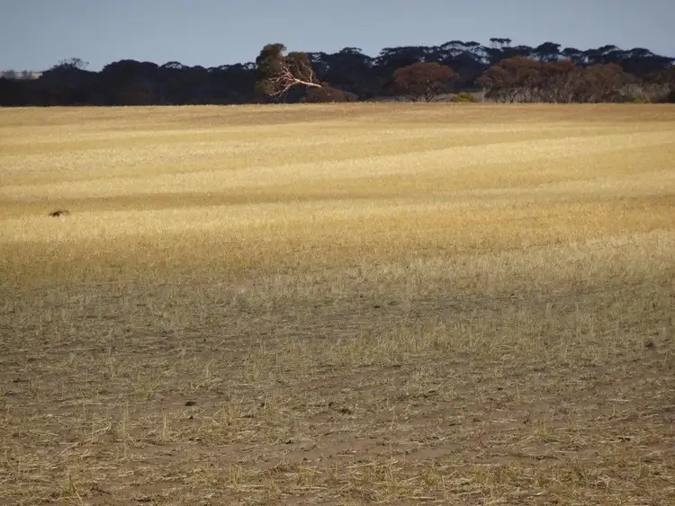 Seventh view of Homely rural property listing, 1704 Aylmore Road, Hyden WA 6359