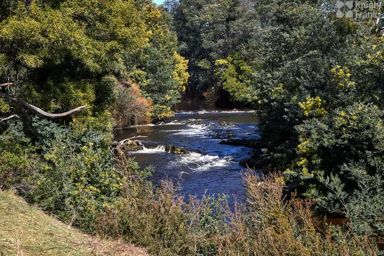 Fourth view of Homely house listing, 10 Scott Street, Branxholm TAS 7261